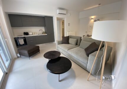One Bedroom Appartment
