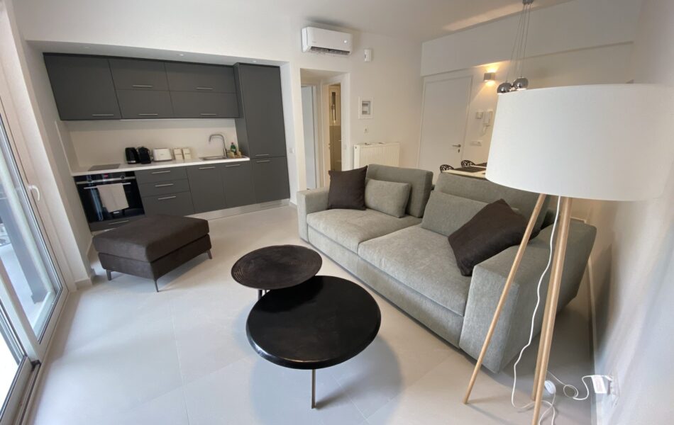 One Bedroom Appartment