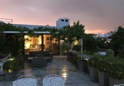 Roof Garden available for special occasions